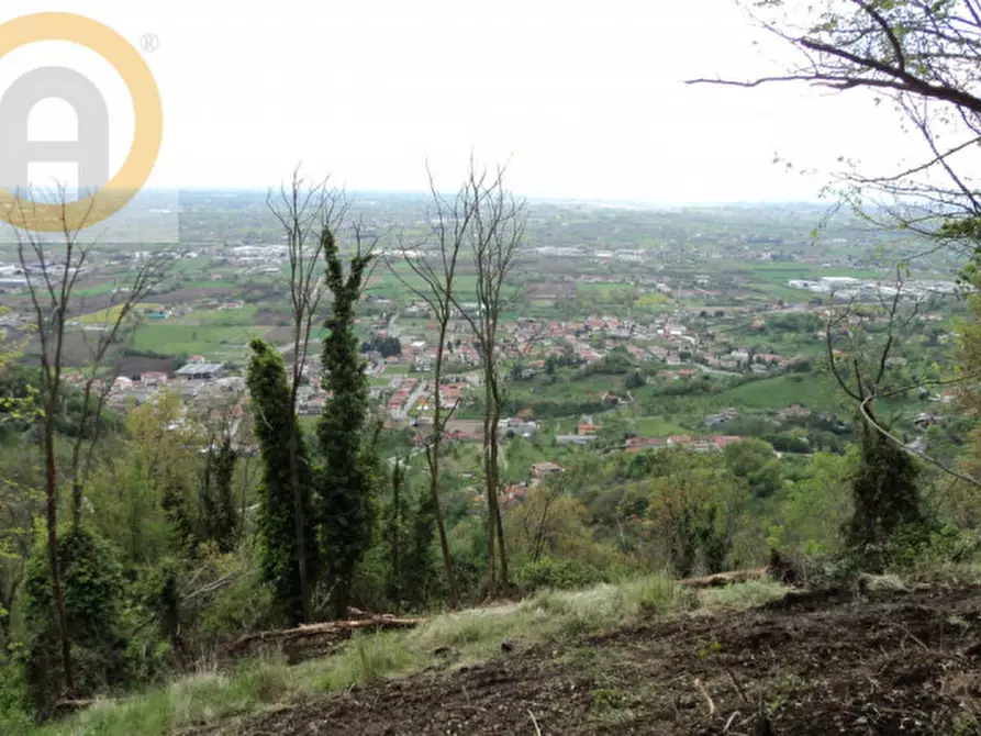 Immagine 3 di Terreno in vendita  a Marostica
