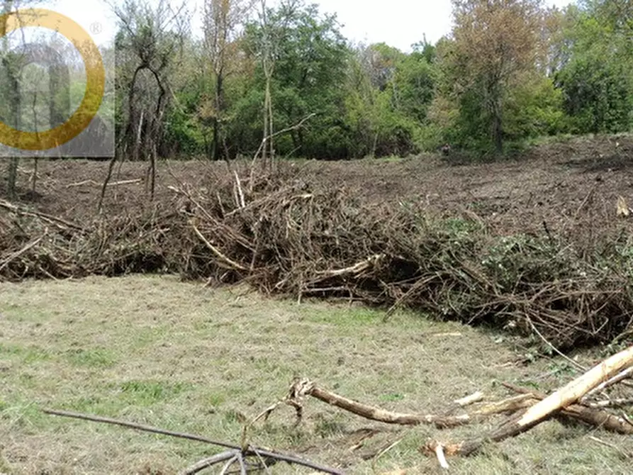 Immagine 4 di Terreno in vendita  a Marostica