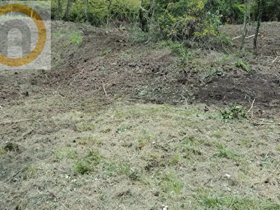 Immagine 5 di Terreno in vendita  a Marostica