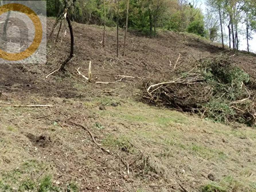 Immagine 6 di Terreno in vendita  a Marostica