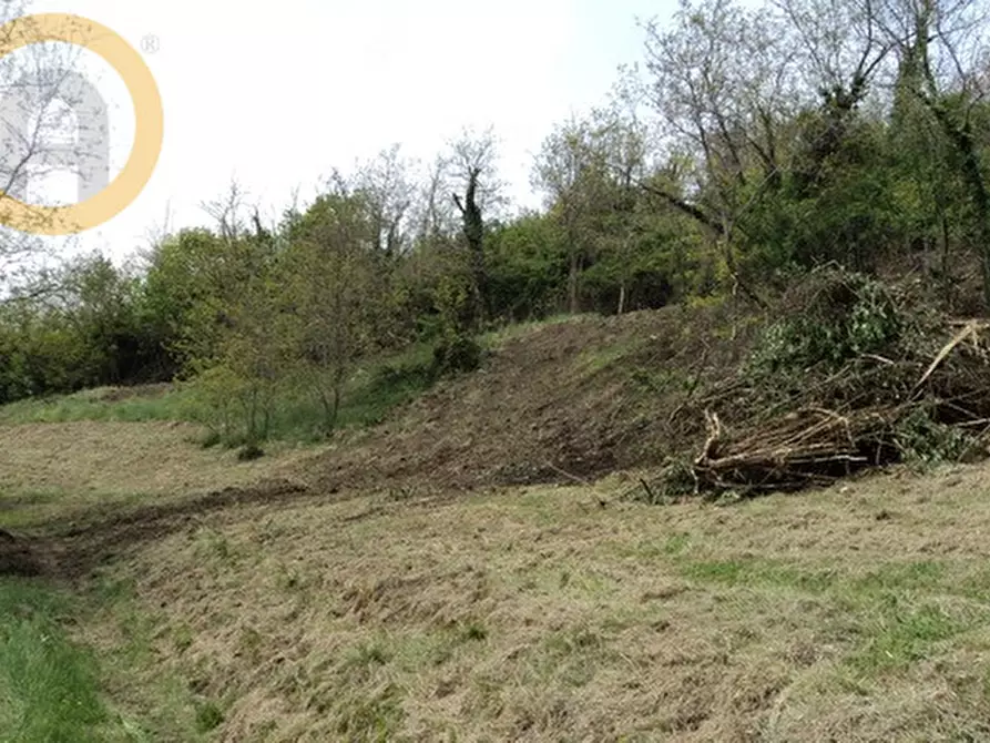 Immagine 7 di Terreno in vendita  a Marostica
