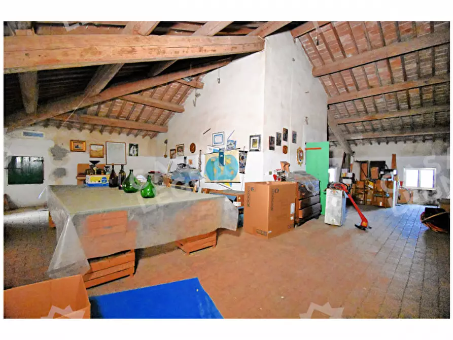 Immagine 11 di Villa in vendita  in Legnago Via Savonarola 12 a Bonavigo