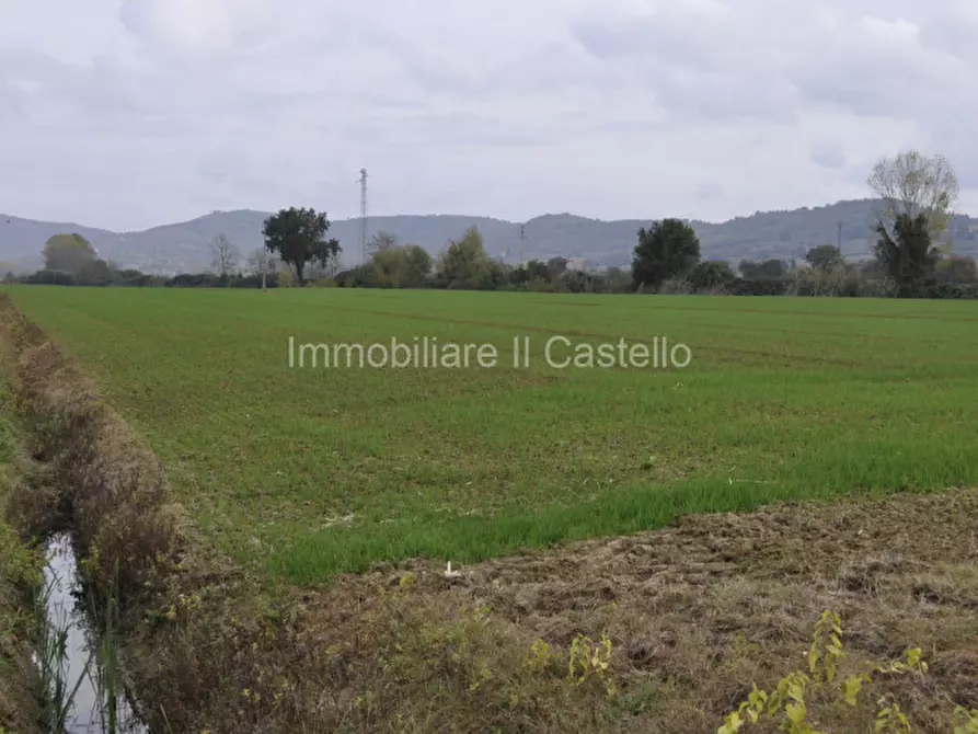 Immagine 1 di Terreno in vendita  a Castiglione Del Lago