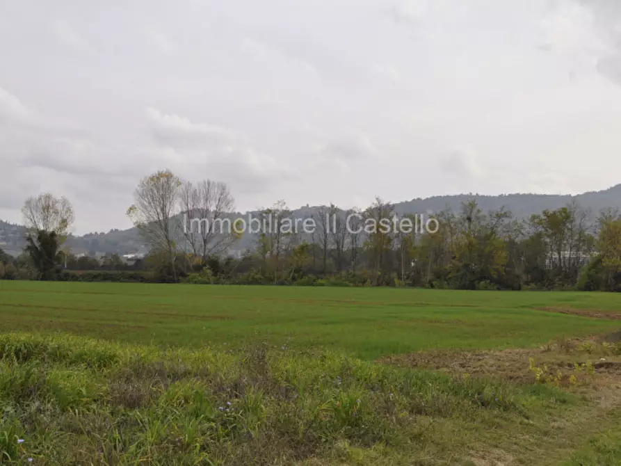 Immagine 2 di Terreno in vendita  a Castiglione Del Lago