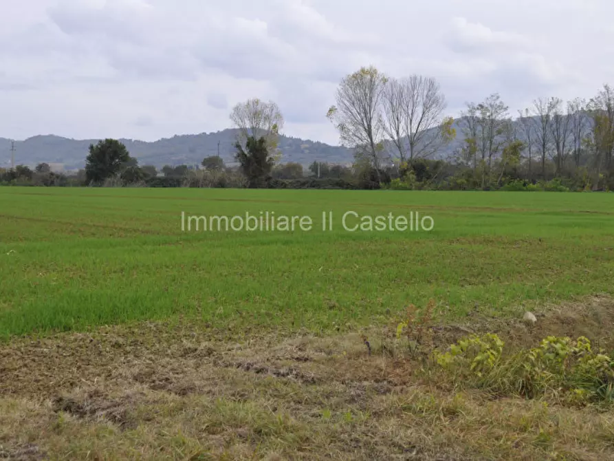 Immagine 3 di Terreno in vendita  a Castiglione Del Lago