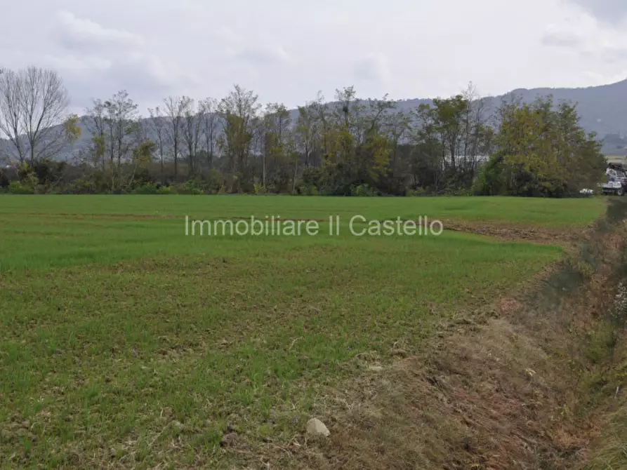 Immagine 4 di Terreno in vendita  a Castiglione Del Lago