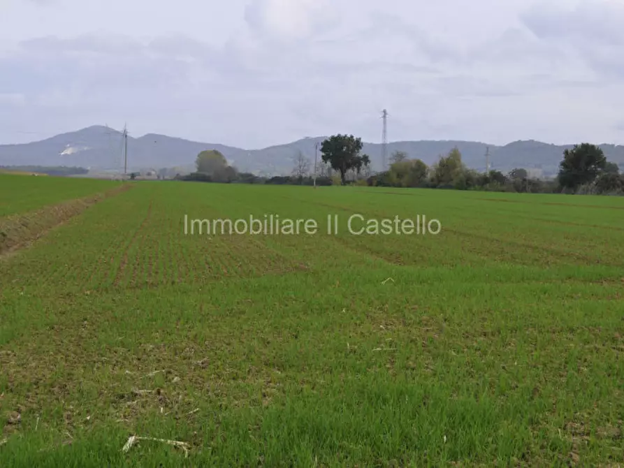 Immagine 5 di Terreno in vendita  a Castiglione Del Lago