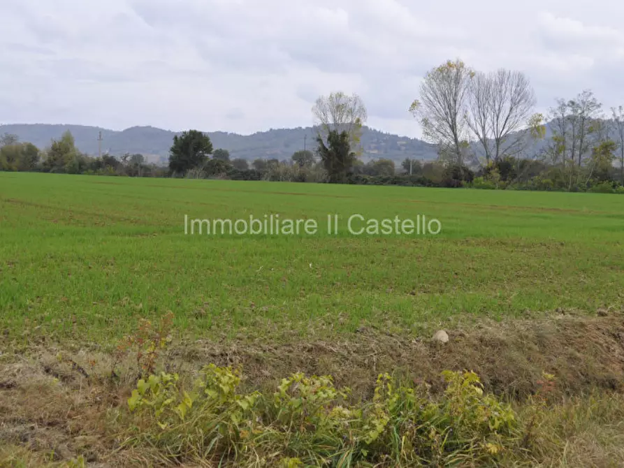 Immagine 6 di Terreno in vendita  a Castiglione Del Lago