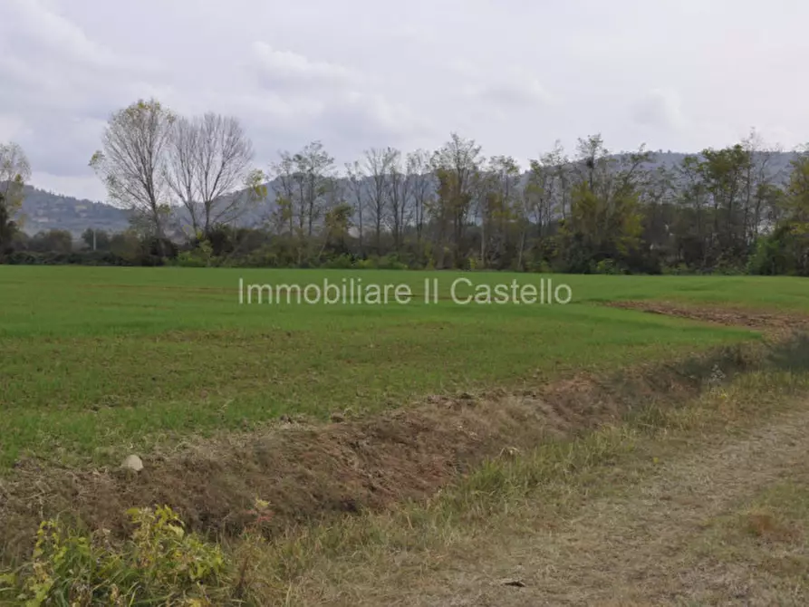 Immagine 7 di Terreno in vendita  a Castiglione Del Lago