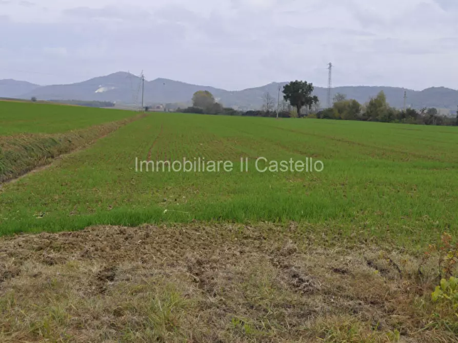 Immagine 8 di Terreno in vendita  a Castiglione Del Lago