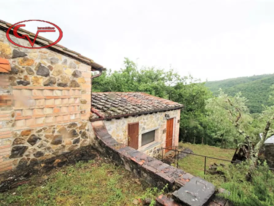 Immagine 12 di Rustico / casale in vendita  a Gaiole In Chianti