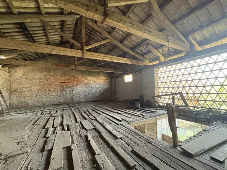 Immagine 30 di Rustico / casale in vendita  in Via Molini a Udine