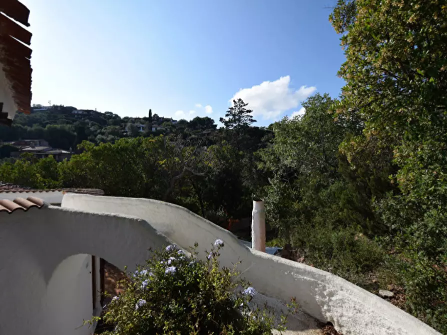 Immagine 20 di Villa in vendita  a San Teodoro