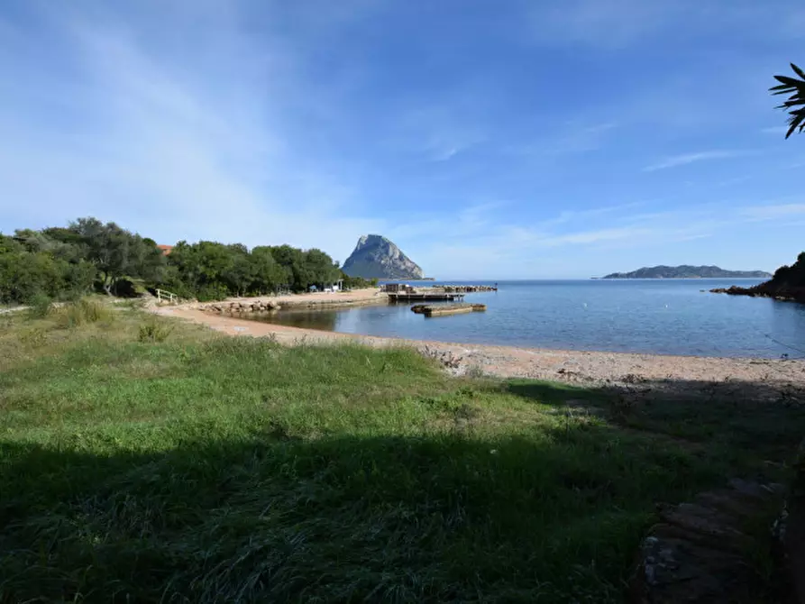 Immagine 26 di Villa in vendita  a San Teodoro