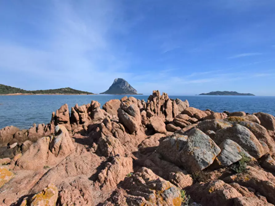 Immagine 27 di Villa in vendita  a San Teodoro