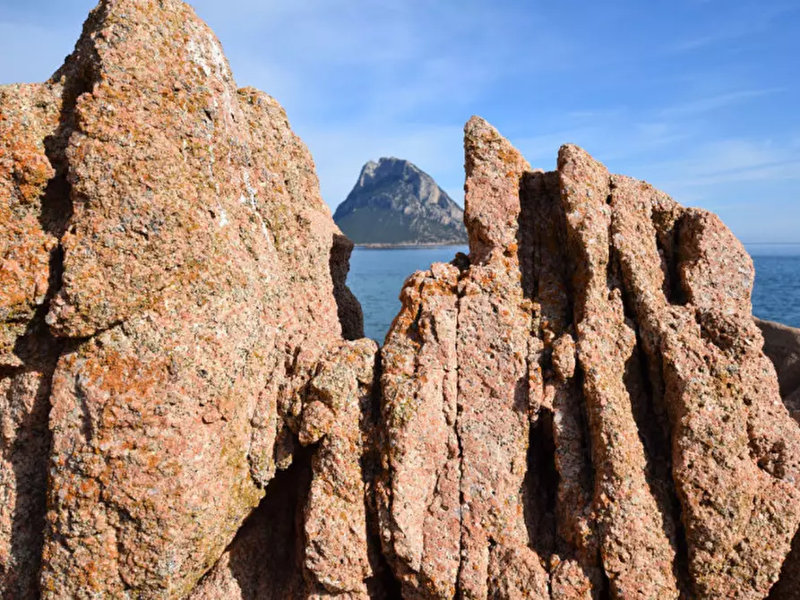 Immagine 28 di Villa in vendita  a San Teodoro