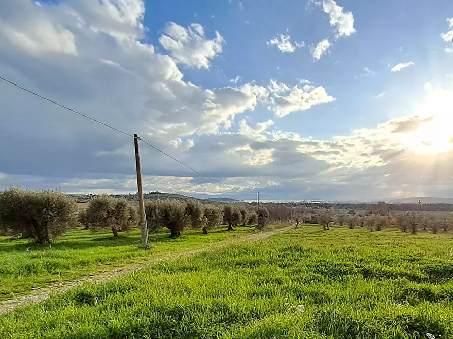 Immagine 9 di Rustico / casale in vendita  in Località Pischiello a Passignano Sul Trasimeno