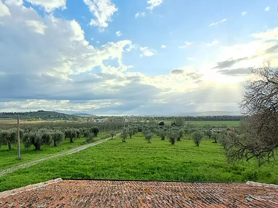 Immagine 10 di Rustico / casale in vendita  in Località Pischiello a Passignano Sul Trasimeno