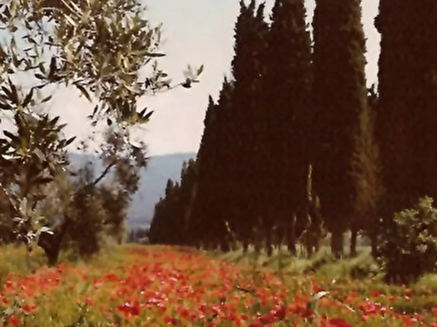 Immagine 13 di Rustico / casale in vendita  in Località Pischiello a Passignano Sul Trasimeno