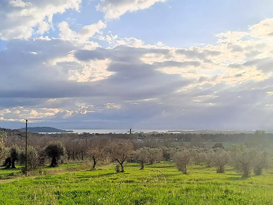 Immagine 18 di Rustico / casale in vendita  in Località Pischiello a Passignano Sul Trasimeno