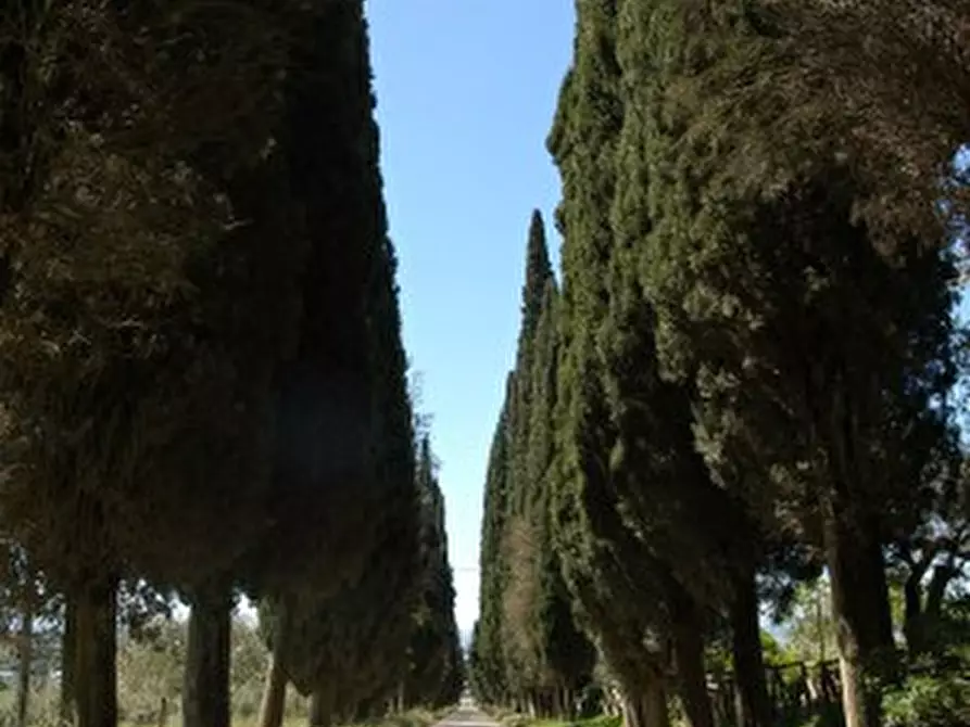 Immagine 22 di Rustico / casale in vendita  in Località Pischiello a Passignano Sul Trasimeno