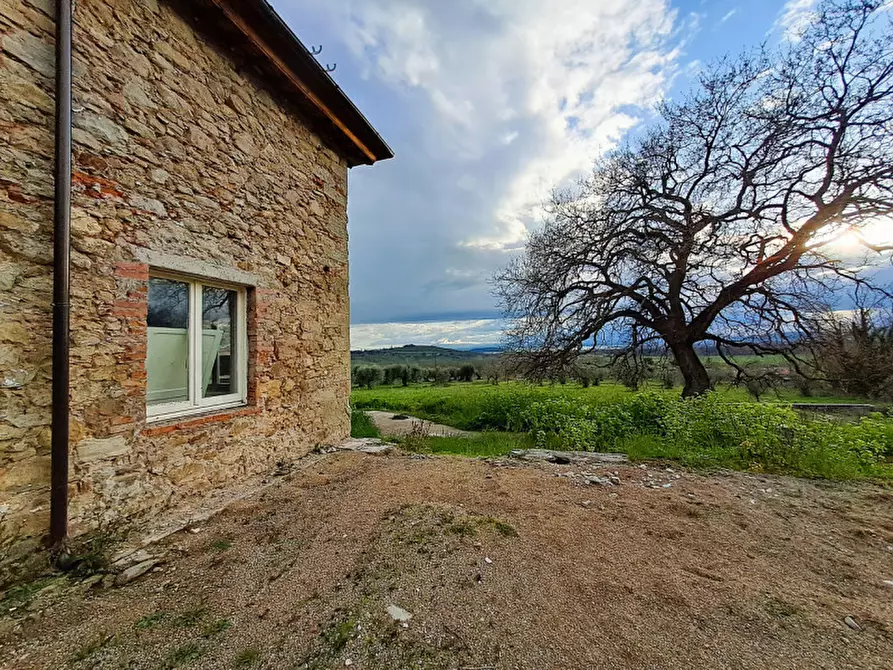 Immagine 25 di Rustico / casale in vendita  in Località Pischiello a Passignano Sul Trasimeno