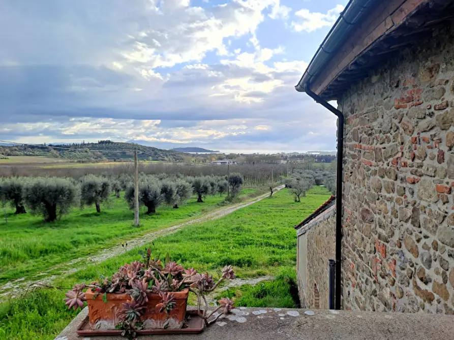 Immagine 28 di Rustico / casale in vendita  in Località Pischiello a Passignano Sul Trasimeno