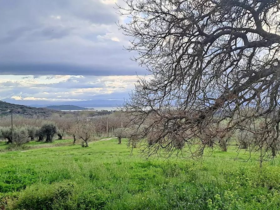 Immagine 30 di Rustico / casale in vendita  in Località Pischiello a Passignano Sul Trasimeno