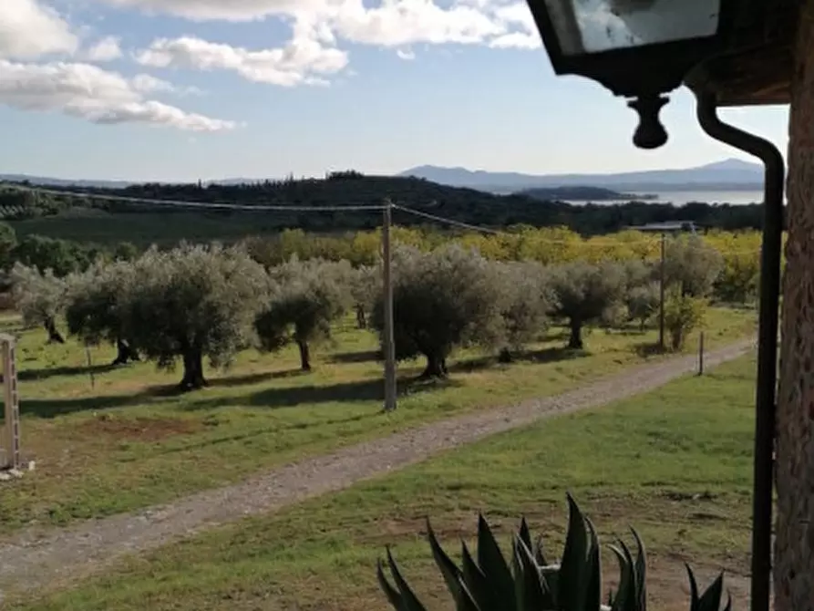 Immagine 31 di Rustico / casale in vendita  in Località Pischiello a Passignano Sul Trasimeno