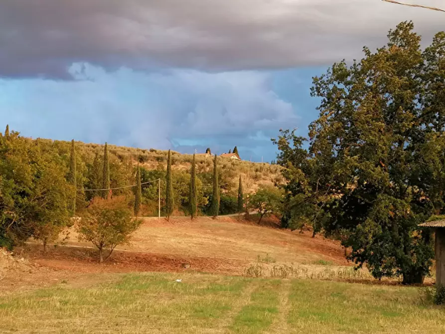 Immagine 32 di Rustico / casale in vendita  in Località Pischiello a Passignano Sul Trasimeno