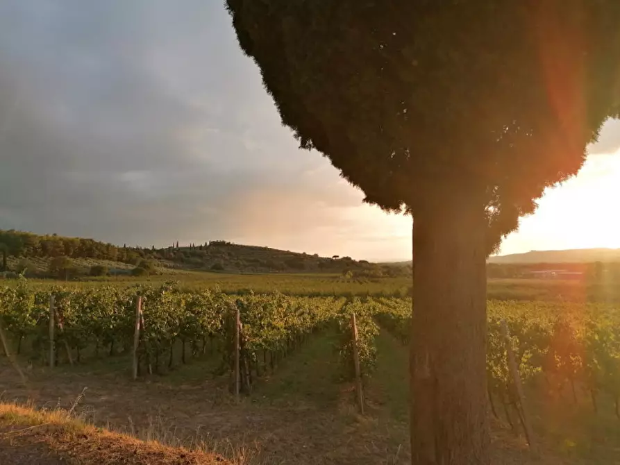 Immagine 33 di Rustico / casale in vendita  in Località Pischiello a Passignano Sul Trasimeno