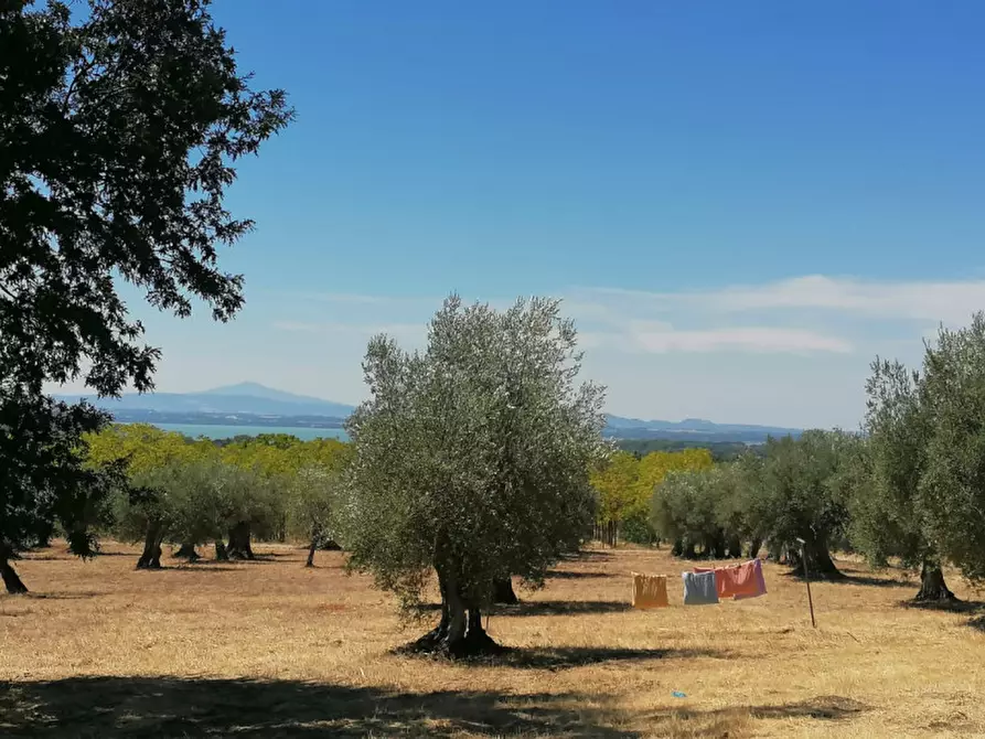 Immagine 34 di Rustico / casale in vendita  in Località Pischiello a Passignano Sul Trasimeno