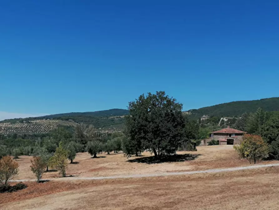 Immagine 35 di Rustico / casale in vendita  in Località Pischiello a Passignano Sul Trasimeno
