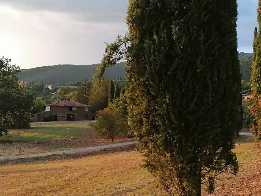 Immagine 36 di Rustico / casale in vendita  in Località Pischiello a Passignano Sul Trasimeno