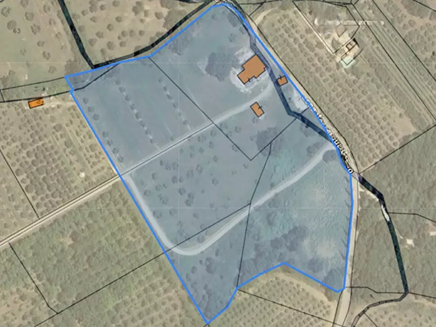 Immagine 33 di Rustico / casale in vendita  in Località Pischiello a Passignano Sul Trasimeno