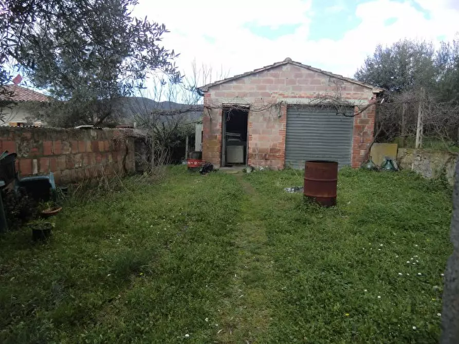 Immagine 2 di Terreno in vendita  in Via Fornello a Tuoro Sul Trasimeno