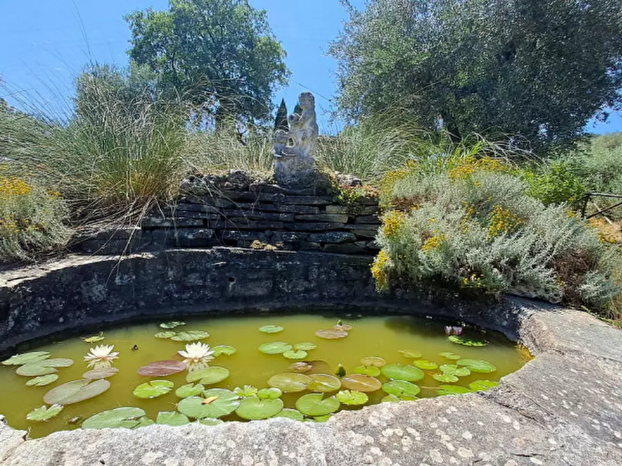 Immagine 5 di Rustico / casale in vendita  a Passignano Sul Trasimeno