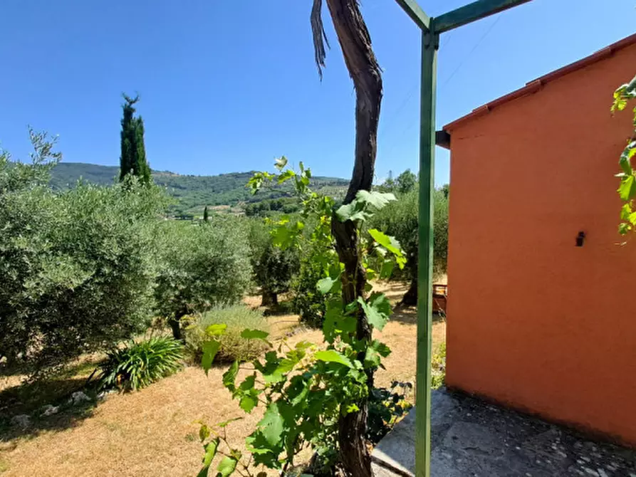 Immagine 7 di Rustico / casale in vendita  a Passignano Sul Trasimeno