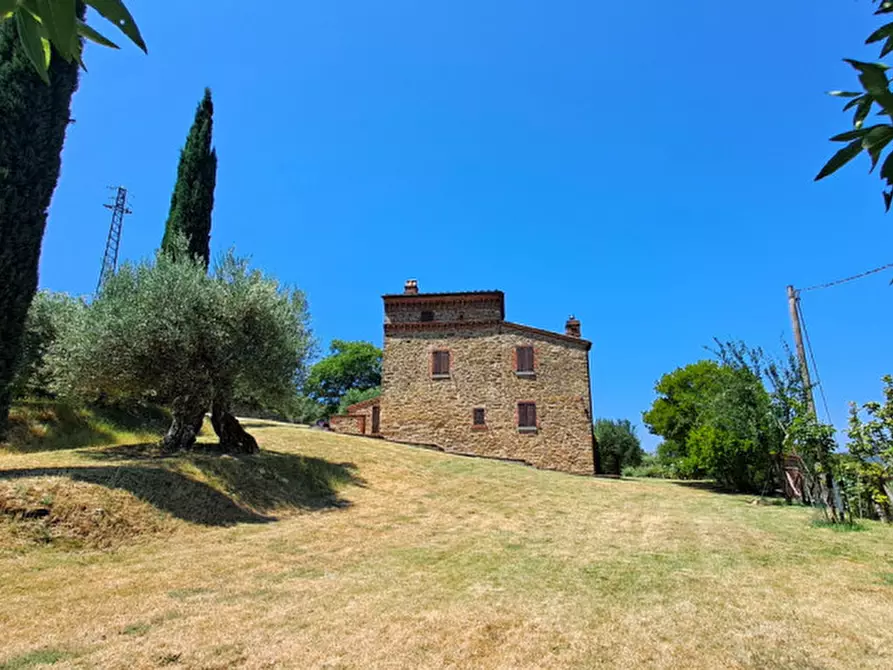 Immagine 20 di Rustico / casale in vendita  a Passignano Sul Trasimeno