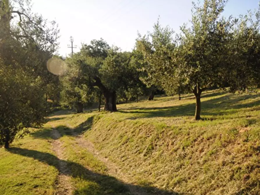 Immagine 23 di Rustico / casale in vendita  a Passignano Sul Trasimeno