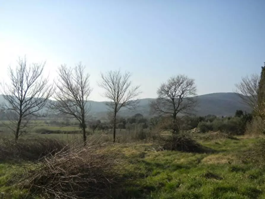 Immagine 7 di Rustico / casale in vendita  in Via Fornello a Tuoro Sul Trasimeno