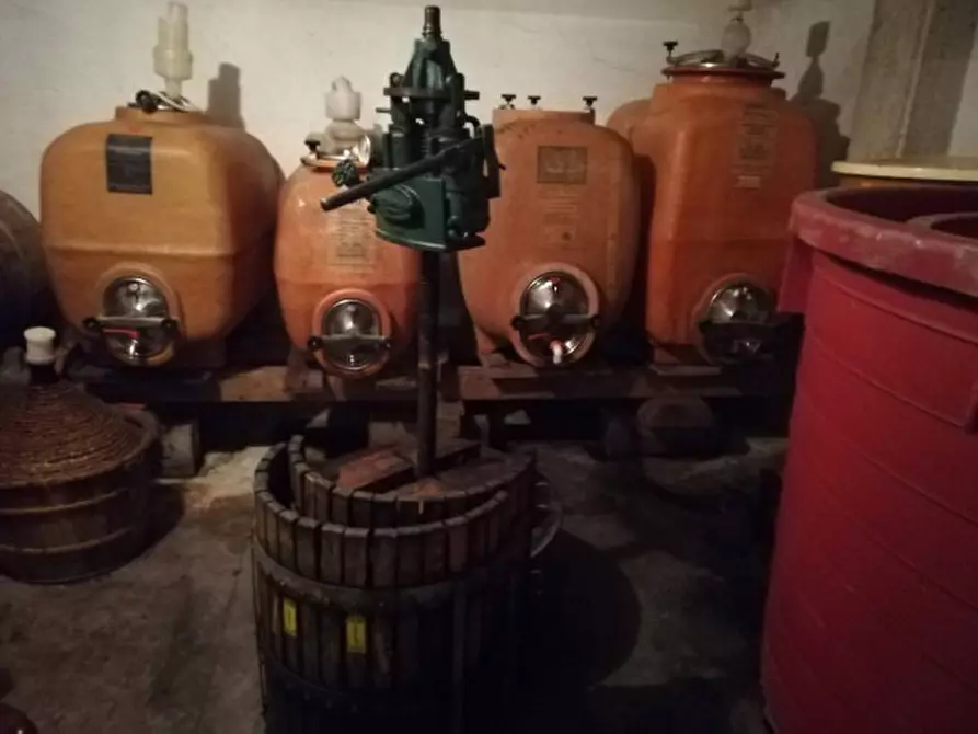 Immagine 11 di Villa in vendita  in Località Pischiello a Passignano Sul Trasimeno