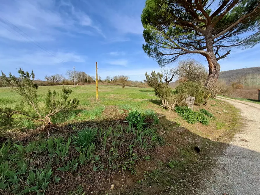 Immagine 22 di Villetta a schiera in vendita  in Località Pian di Marte a Lisciano Niccone