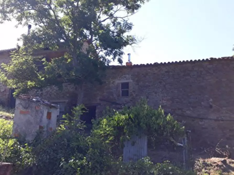 Immagine 2 di Rustico / casale in vendita  a Passignano Sul Trasimeno