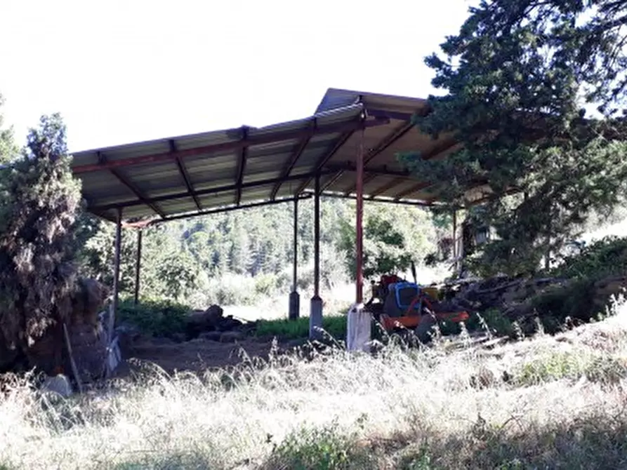 Immagine 8 di Rustico / casale in vendita  a Passignano Sul Trasimeno