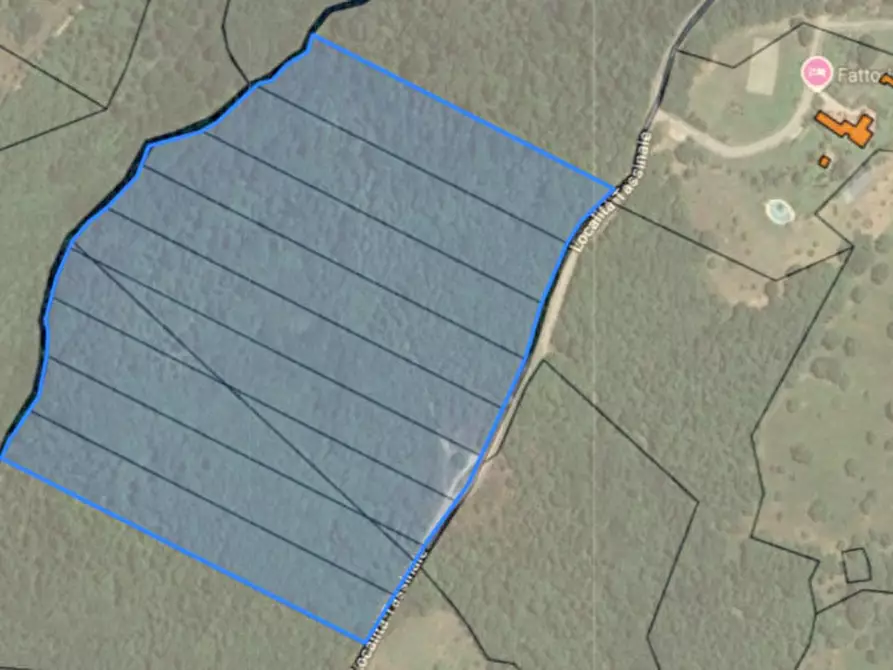 Immagine 1 di Terreno in vendita  a Tuoro Sul Trasimeno