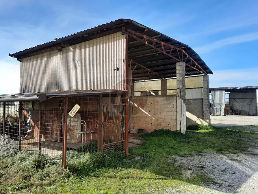 Immagine 5 di Casa indipendente in vendita  a Cervarese Santa Croce