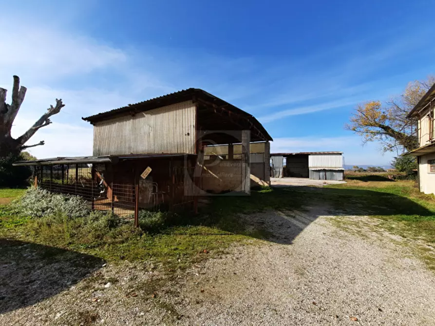 Immagine 6 di Casa indipendente in vendita  a Cervarese Santa Croce