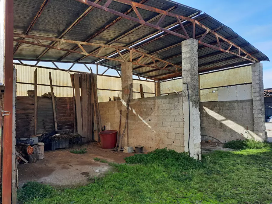 Immagine 7 di Casa indipendente in vendita  a Cervarese Santa Croce