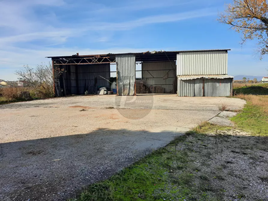Immagine 11 di Casa indipendente in vendita  a Cervarese Santa Croce